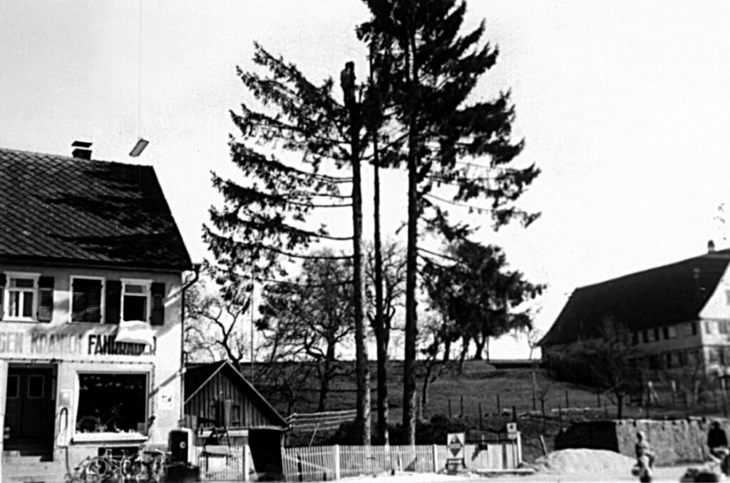 Gschwend - Frickenhofer Str - Hausnummer 14 - 1953000000